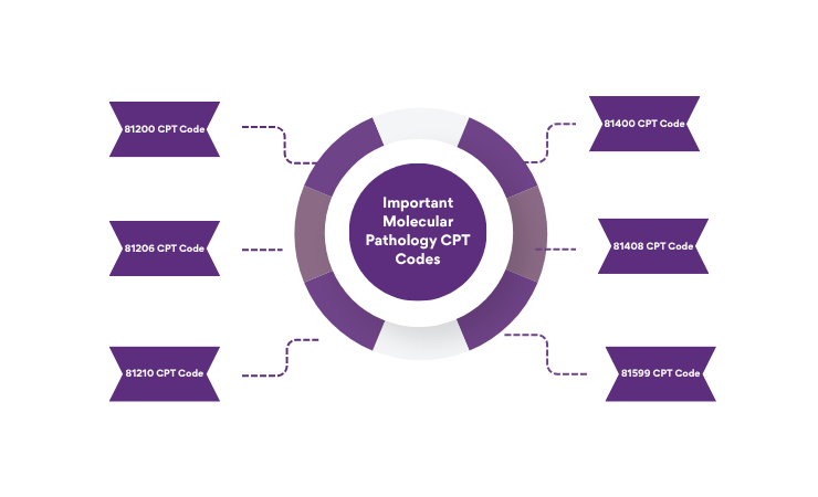 important molecular pathology cpt codes(1)